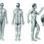Acupuncture Points (3 Body + 1 Ear) Charts (Set of 4) + Free 5 Sujok Rings
