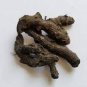 BLACK TURMERIC KALI HALADI CURCUMA CAESIA FREE SHIPPING