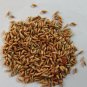 APAMARG SEEDS - LATJIRA BEEJ - UTTARENI SEEDS - CHIRCHITA - ACHYRANTHES ASPERA