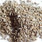 APAMARG SEEDS - LATJIRA BEEJ - UTTARENI SEEDS - CHIRCHITA - ACHYRANTHES ASPERA