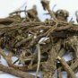 AKARKARA IRANI ROOTS - ANACYCLUS PYRETHRUM - PELLITORY ROOTS