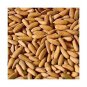 Indian Natural Pine Nuts With Shell Chilgoza Inshell Dry Fruit Pine Seeds 200gm