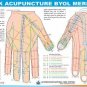 Sujok Acupuncture Byol Meridian Chart -Yang side-Left Hand & Yin side-Left Hand.
