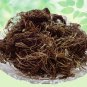 Mayur Shikha-Adiantum Melanocanlum-Raw Herbs-Jadi Booti-Single Herbs