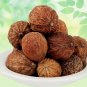 NATURAL MEND PHAL - MAIND PHAL - MED PHAL - MADAN PHAL - EMETIC NUT