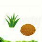 ALOE VERA LEAVES POWDER - ALOEVERA LEAVES POWDER - GHRITA KUMARI