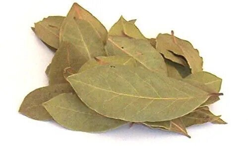 NATURAL TEJ BAL - TEJ PHAL - TEJPHAL - ZANTHOXYLUM ARMATUM