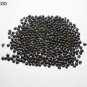 CHAKSOO SEEDS CASSIA ABSUS CHAKSU JASMEEJAZ SEEDS FREE SHIPPING