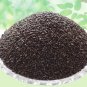 NATURAL TUKMARIA MOTI BEEJ - SABJA SEEDS - OCIMUM BASILICUM