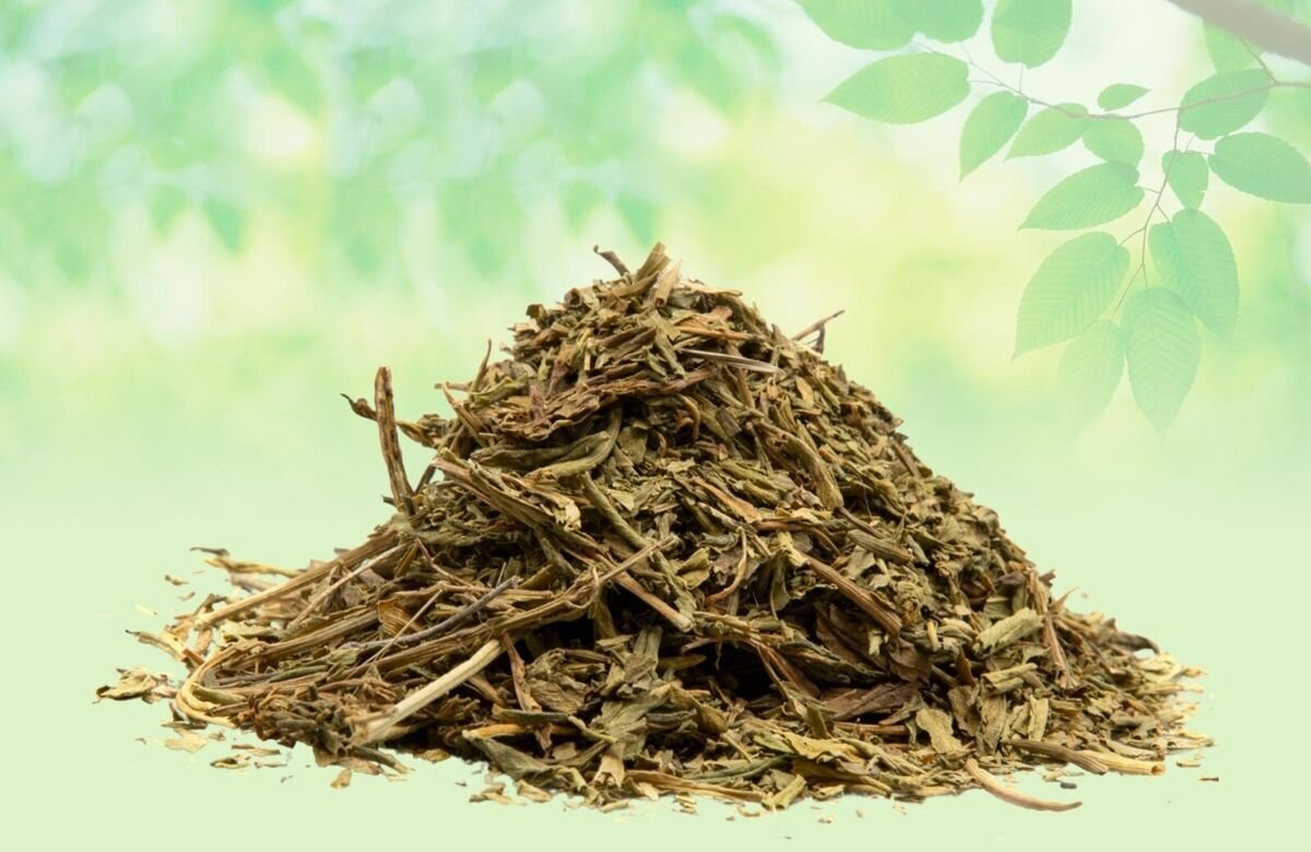 Sadabahar Leaves-Periwinkle Leaves-Raw Herbs-Vinca Rosea-Jadi Booti-Single Herbs