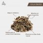 ADUSA BLACK- BANSA BLACK - MALABAR NUT- VASA - ADUSHA - ADHATODA VASA