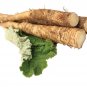 ORGANIC BURDOCK ROOTS - ARCTIUM LAPPA - DRIED ROOT BURDOCK