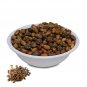 jamalghota Beej - Jamalgota Seeds - Croton Seeds - Nepala - Croton Tiglium