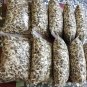 1000 Organic Moringa Seeds | Moringa Oleifera | Dried, Non GMO, Edible, Planting