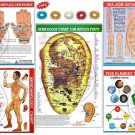 Acupressure Reflex, Acupuncture, Sujok, Element, Ear Charts (Set of 5) + 5 Rings