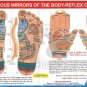 Acupressure Reflex, Acupuncture, Sujok, Element, Ear Charts (Set of 5) + 5 Rings