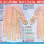 Acupressure Reflex, Acupuncture, Sujok, Element, Ear Charts (Set of 5) + 5 Rings