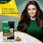 Streax Insta Shampoo Hair Color For Men & Women Natural Black 15ml X 16