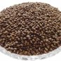 MUSHK DANA -MUSK DANA -MUSHKDANA -AMBRETTE SEED -ABELMOSCHUS MOSCHATUS