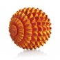 ACS Energy Wooden Ball for Hand & Foot + Free 5 Pcs Sujok Rings For Acupressure