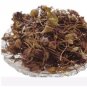 ZUFA - JUFA - HYSSOPUS OFFICINALIS LINN – HYSSOP - ISSOPO - HOLY HERB