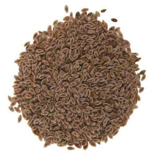 EDIBLE ISABGOL SEEDS - PSYLLIUM SEEDS - ISAB GOL BEEJ - PLANTAGO OVATA