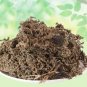 NAKCHIKNI - NAK CHIKNI - SNEEZE WORT - DREGEA VOLUBILIS - CENTIPEDA MINIMA