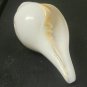SHANKHA SOUND SHANKH CONCH SACRED SHELL NAVRATRI HINDU POOJA DIVINE HOLY 4 INCHE