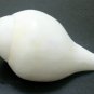 SHANKHA SOUND SHANKH CONCH SACRED SHELL NAVRATRI HINDU POOJA DIVINE HOLY 4 INCHE