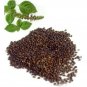 SHYAMA TULSI SEEDS (EDIBLE)-KRISHNA BASIL SEEDS-KALI TULSI SEEDS- OCIMUM SANCTUM