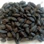BLACK HIMEJ - KALI HARAD - SMALL BLACK HARAD - TERMINALIA CHEBUL