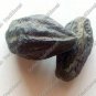 BLACK HIMEJ - KALI HARAD - SMALL BLACK HARAD - TERMINALIA CHEBUL