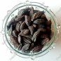 BLACK HIMEJ - KALI HARAD - SMALL BLACK HARAD - TERMINALIA CHEBUL