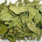 STEVIA LEAF - MADHU TULSI - MITHI TULSI - STIVIA LEAVES - STEVIA REBAUDIANA