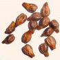 Indian Herb Dry Grape Seed Whole Pure Organic Indian Herb Angoor Beej Edible