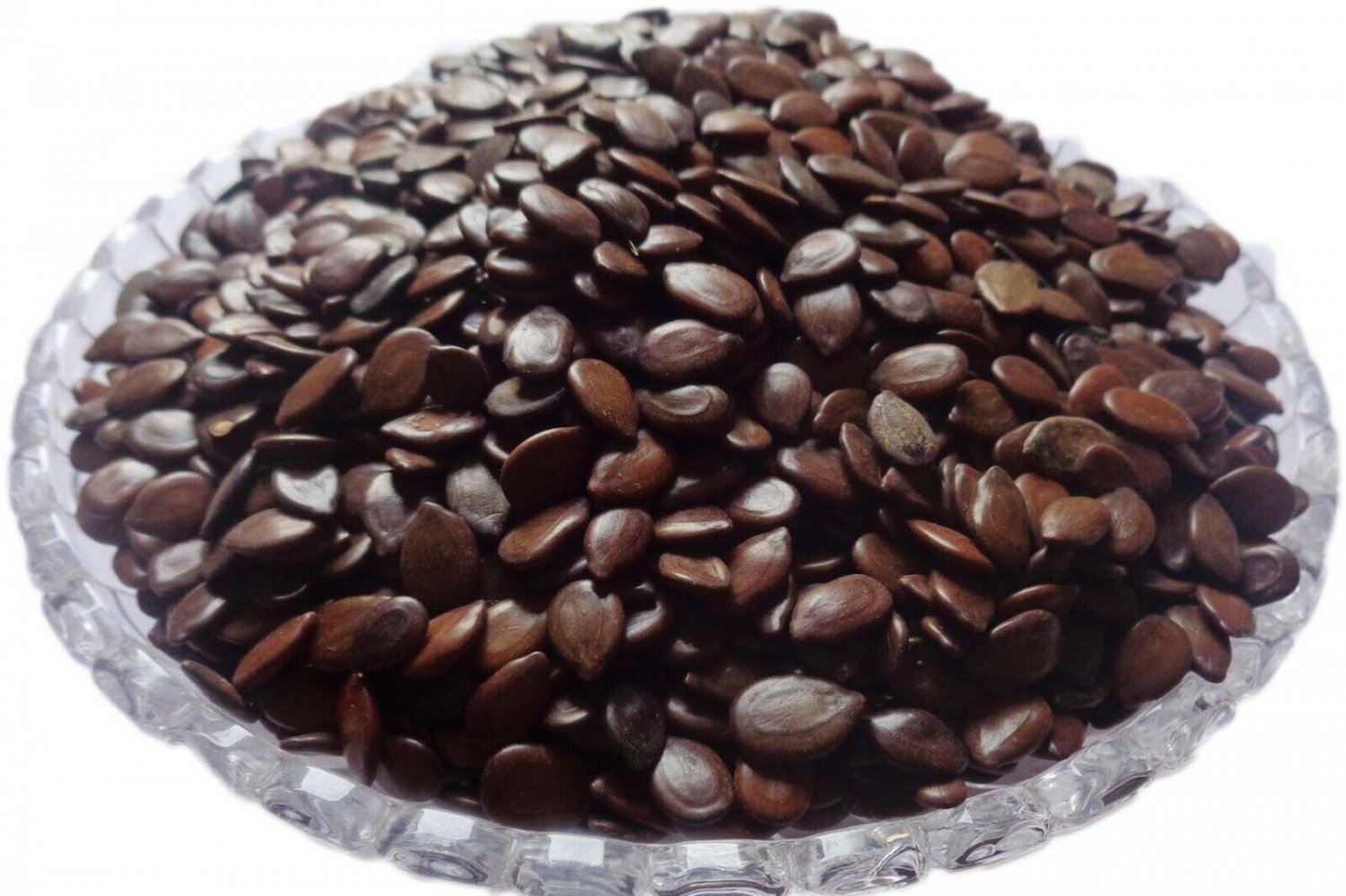 SUBABUL SEEDS - SAFED BABOOL BEEJ - BABUL BEEJ - LEUCAENA LEUCOCEPHALA