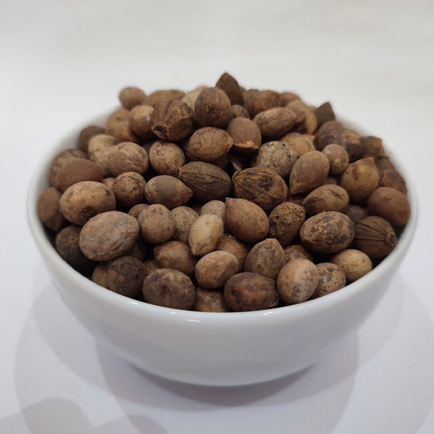 ORGANIC ANKOL SEEDS - ANKOL BEEJ - ALANGIUM SALVIFOLIUM