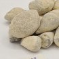 BER PATTHAR - BER PATHAR - HAJRUL YAHOOD - FOSSIL ENCRINITE