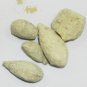 BER PATTHAR - BER PATHAR - HAJRUL YAHOOD - FOSSIL ENCRINITE