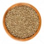 Edible Carrot Seeds - Gajar K Beej - Daucus carota