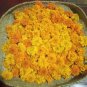 Ceylon Dried Calendula Marigold Flower Petals Pure Organic Herbal Egyptian Tea