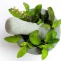 TULSI PATTA POWDER - BASIL LEAF POWDER - OCIMUM SANCTUM-AYURVEDIC-HERBAL-ORGANIC