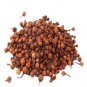 NAGKESAR - NAG KESAR - NAGKESHAR - NAG KESHAR - OCHROCARPUS LONGIFOLIUS