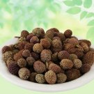 Gorakhmundi-Sphaeranthus Indicus-Raw Herbs-Gorakh Mundi-jadi Booti-Single Herbs