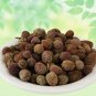 Gorakhmundi-Sphaeranthus Indicus-Raw Herbs-Gorakh Mundi-jadi Booti-Single Herbs