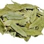 SENNA PATTA - SANAY LEAVES - SENNA LEAF - SONAMUKHI LEAVES - SONA PATTA
