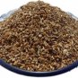 KASNI SEEDS - KASINI BEEJ - KAASNI SEEDS - CHICORY - CICHORIUM INTYBUS