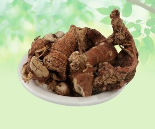 KULANJAN - KULINJAN - PAAN JADD - PAAN ROOT - PAN JAD - ALPINIA GALANGA WILD