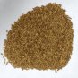 NATURAL EDIBLE CARROT SEEDS - GAJAR K BEEJ - DAUCUS CAROTA
