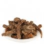 Darunaj-Dried-Raw Herbs-Doronicum-Darawnaj-Hookeri-Jadi Booti-Single Herbs